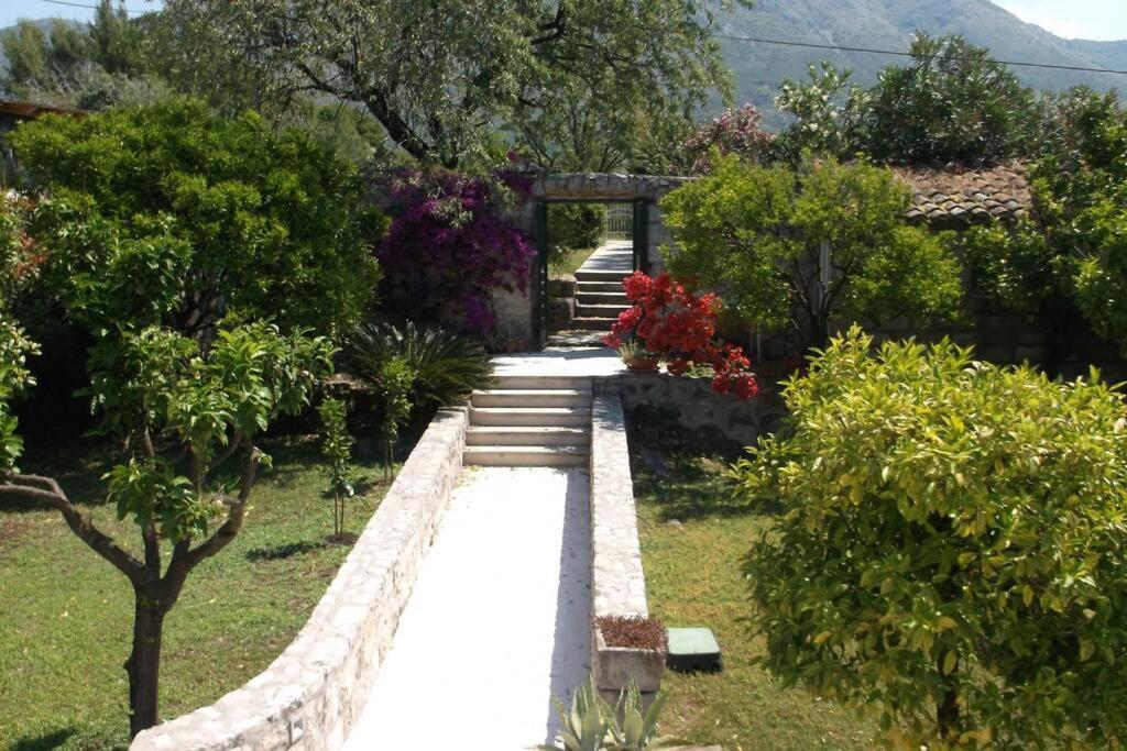 Charming Apartment For 3 Pax In Cavtat Exterior photo