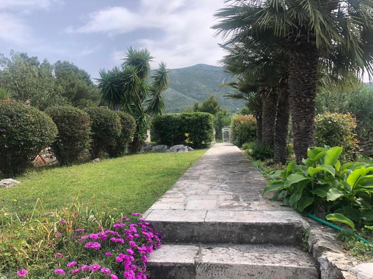 Charming Apartment For 3 Pax In Cavtat Exterior photo